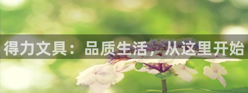 九游会国际集团