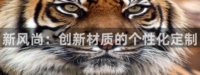 九游会登录不了：新风尚：创新材质的个性化