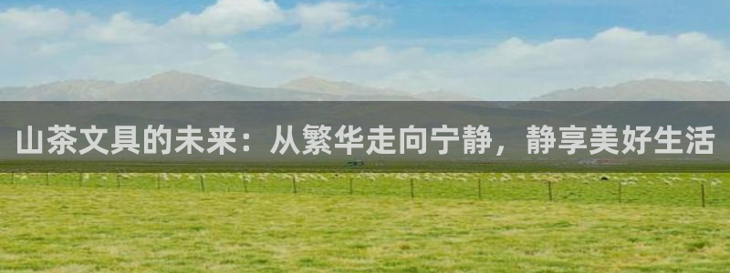 举报九游会：山茶文具的未来：从繁华走向宁