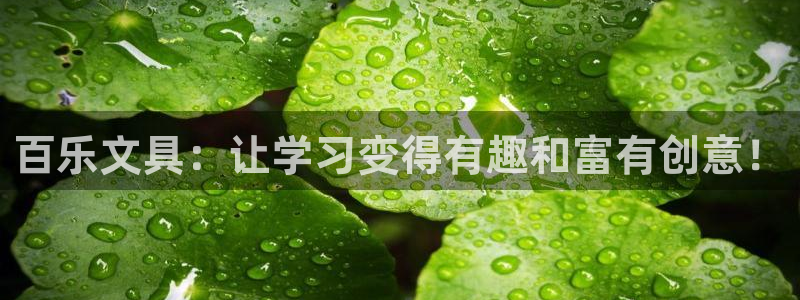 九游会的网站：百乐文具：让学习变得有趣和