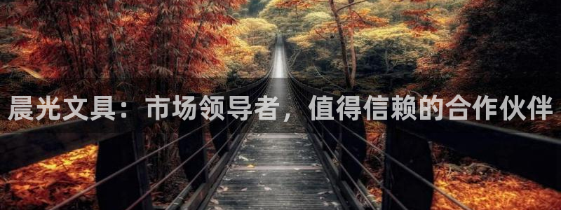 九游会app：晨光文具：市场领导者，值得
