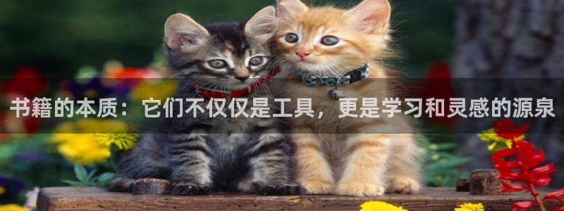 九游会官网登录中心官网：书籍的本质：它们
