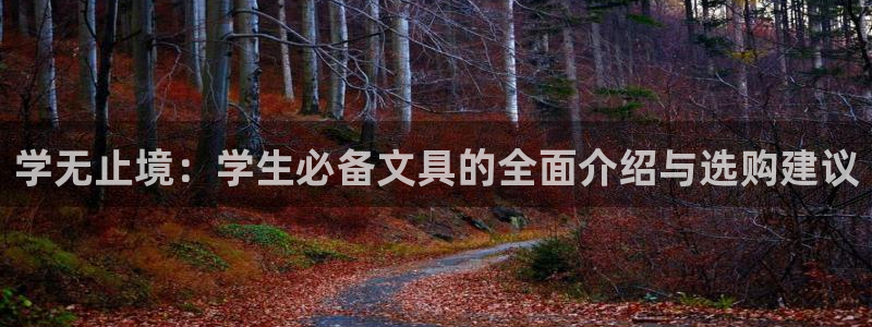 亚洲AG九游会：学无止境：学生必备文具的