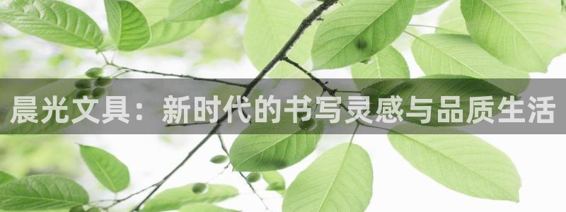 九游会让游客：晨光文具：新时代的书写灵感