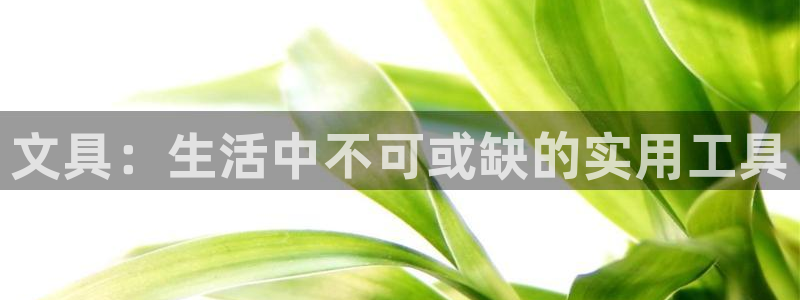 九游会jy：文具：生活中不可或缺的实用工