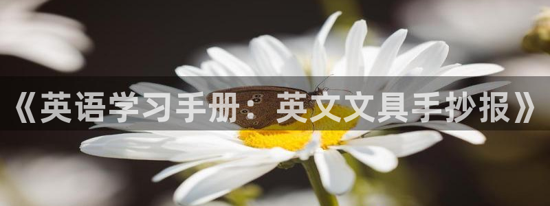 九游会官网在线登录：《英语学习手册：英文