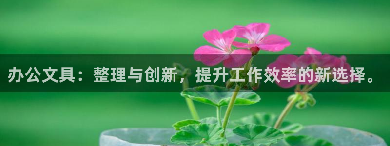 九游会游戏怎样充值：办公文具：整理与创新