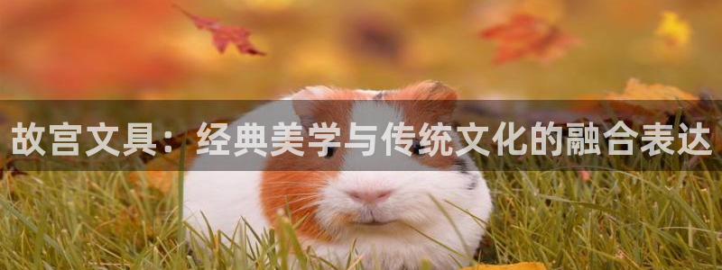 九游会体育下载安装：故宫文具：经典美学与