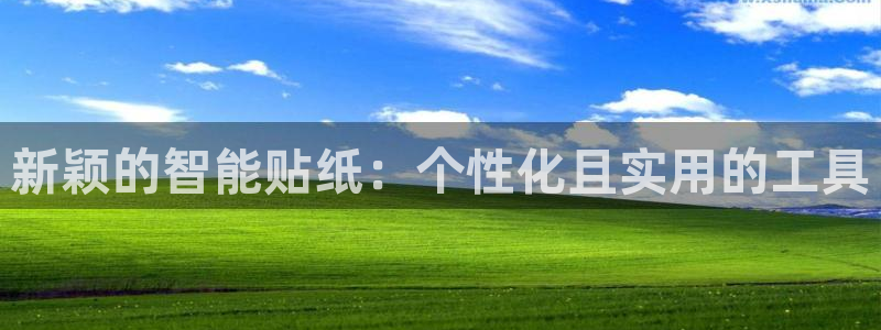 九游会ag网址大全：新颖的智能贴纸：个性