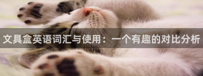 九游会网页下载：文具盒英语词汇与使用：一