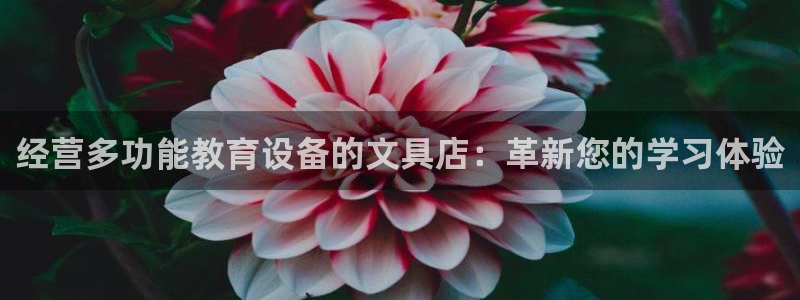 ag九游会官网下载：经营多功能教育设备的