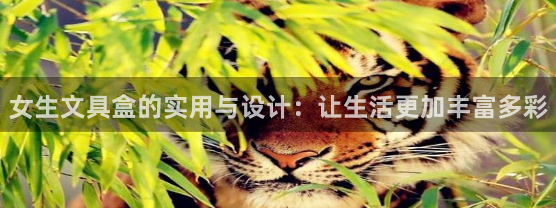 立即充值   九游会：女生文具盒的实用与