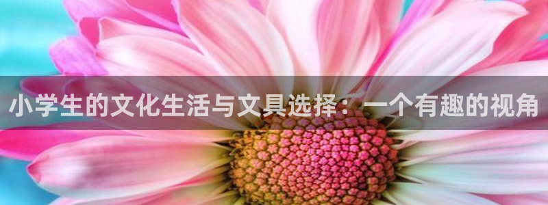 j9九游会直营：小学生的文化生活与文具选
