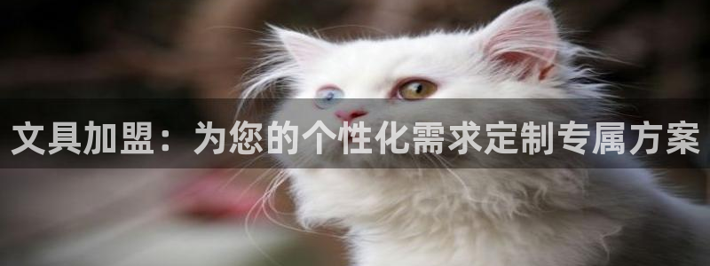 AG8九游会游会：文具加盟：为您的个性化