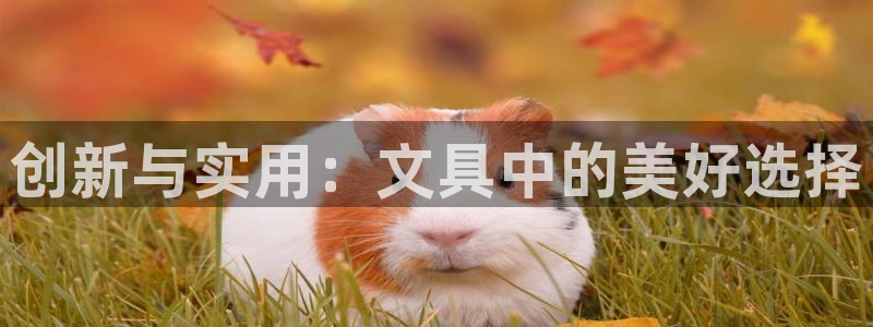 九游会论坛老哥俱乐部