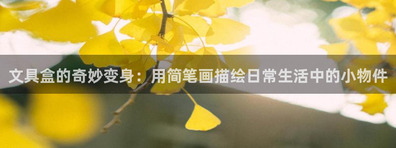 j9九游会数字：文具盒的奇妙变身：用简笔