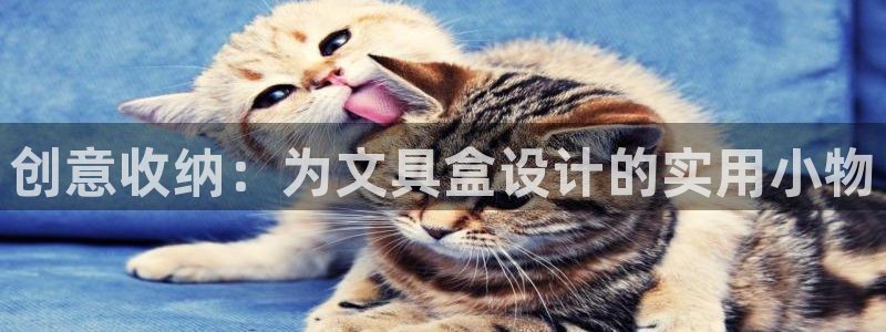 九游老哥会俱乐部：创意收纳：为文具盒设计