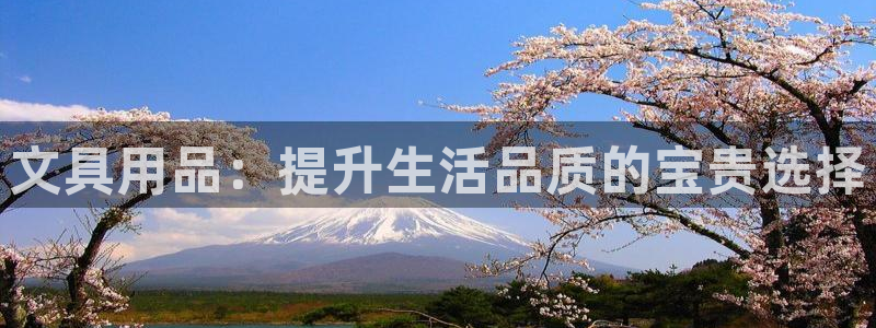九游会举报：文具用品：提升生活品质的宝贵