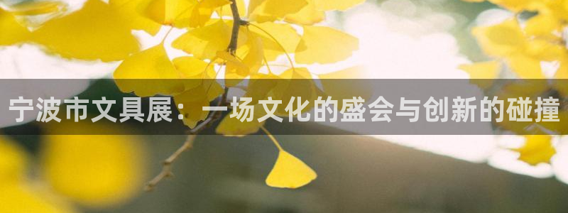 九游会网址国际：宁波市文具展：一场文化的