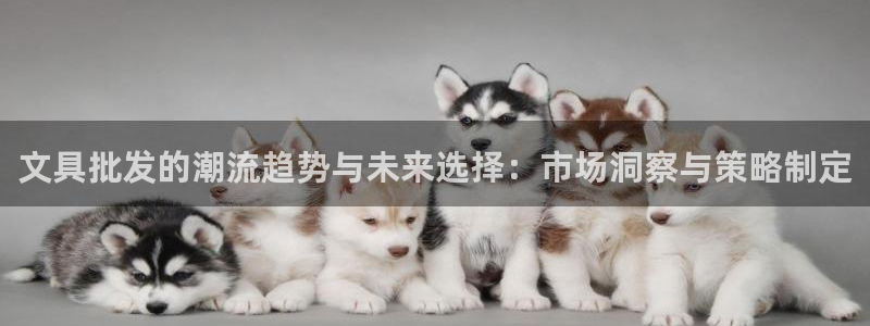 九游会怎么提款：文具批发的潮流趋势与未来
