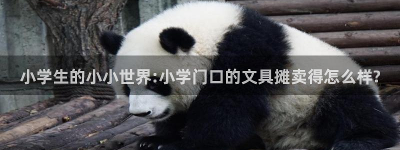 九游会赢了：小学生的小小世界:小学门口的
