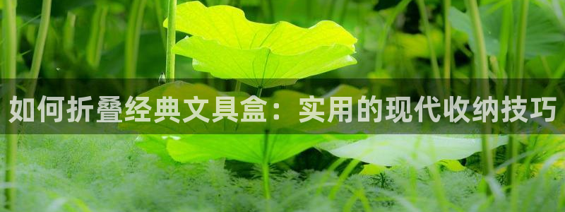 九游会亚洲集团：如何折叠经典文具盒：实用