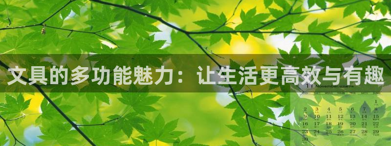 九游会j9是什么意思：文具的多功能魅力：