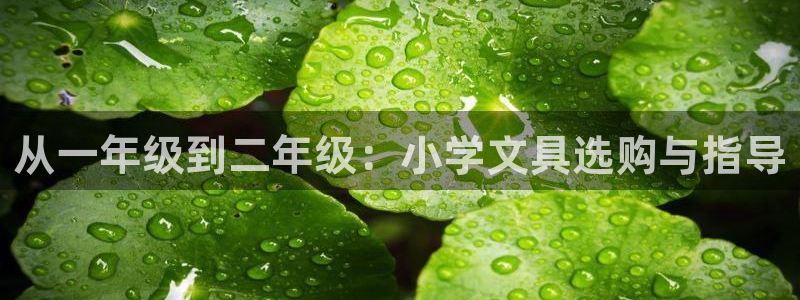 九游会网站中心：从一年级到二年级：小学文