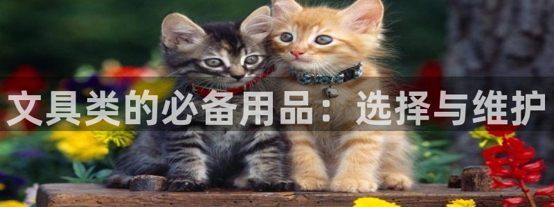 九游会j9000：文具类的必备用品：选择