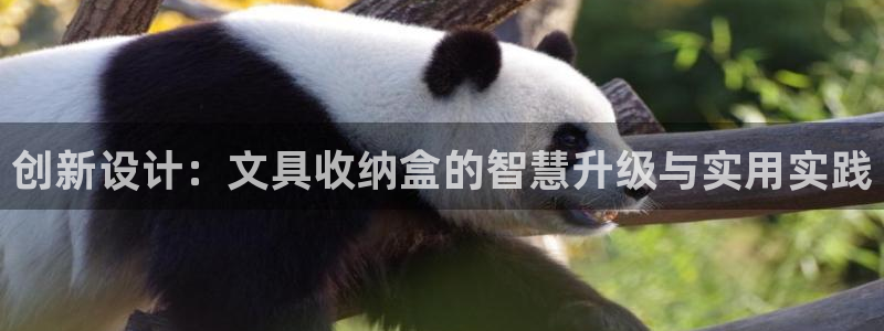 九游会彩票：创新设计：文具收纳盒的智慧升