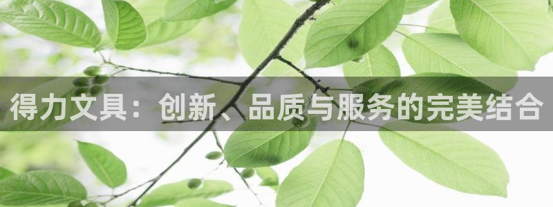 旧站九游会：得力文具：创新、品质与服务的