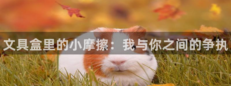 改名九游会：文具盒里的小摩擦：我与你之间