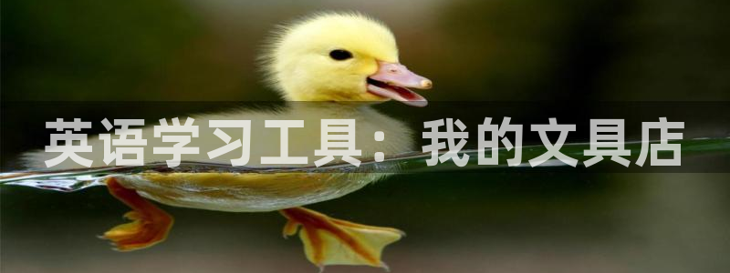 九游会ag手游网：英语学习工具：我的文具