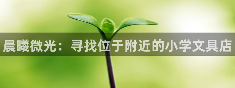 九游会棋牌：晨曦微光：寻找位于附近的小学