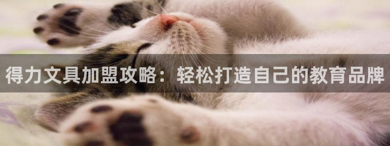j9九游会app下载：得力文具加盟攻略：