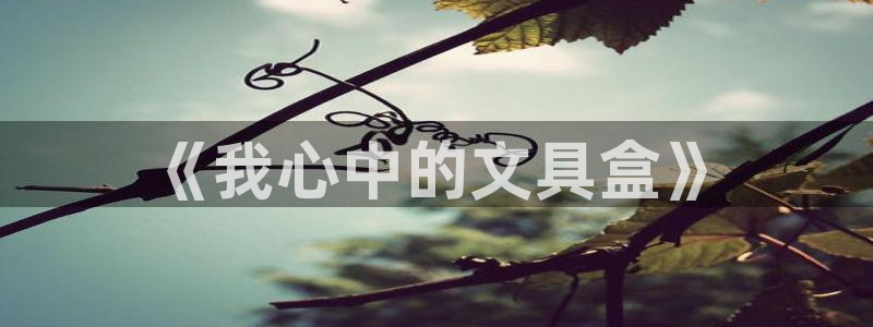 九游会赌神：《我心中的文具盒》