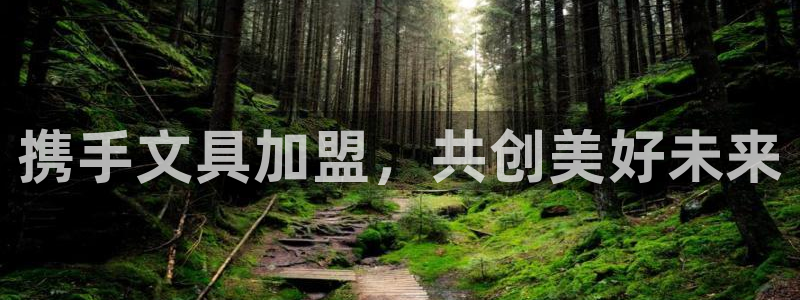 九游会平台聊天：携手文具加盟，共创美好未