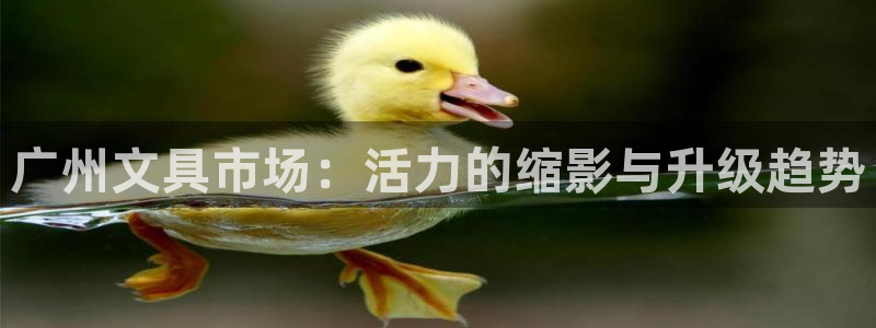 九游账号会丢吗：广州文具市场：活力的缩影