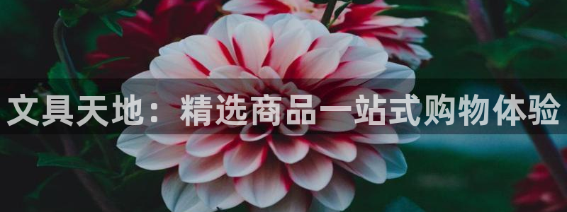九游会旧版网址：文具天地：精选商品一站式