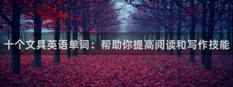 九游会投注：十个文具英语单词：帮助你提高