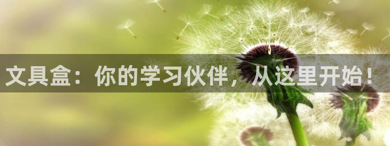 九游会注册网页：文具盒：你的学习伙伴，从