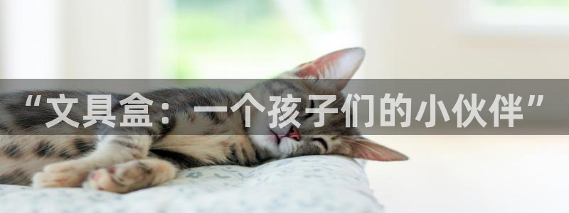 j9九游会官方网站国际：“文具盒：一个孩