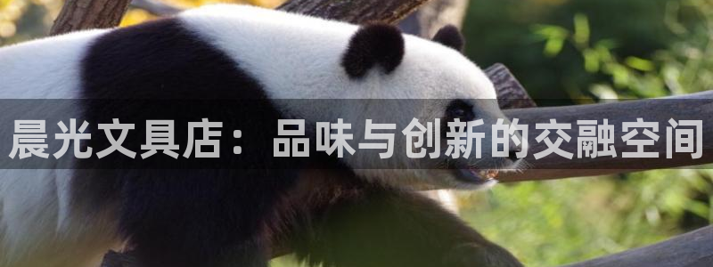 九游会亚洲公司：晨光文具店：品味与创新的