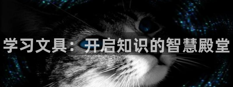 九游会怎么打不开了：学习文具：开启知识的