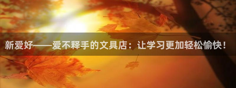 举报九游会：新爱好——爱不释手的文具店：