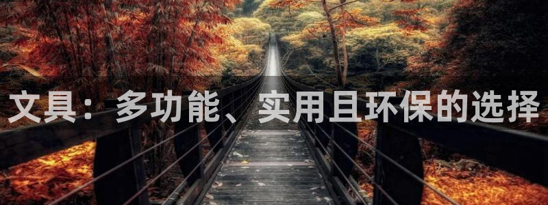 ag九游会亚：文具：多功能、实用且环保的