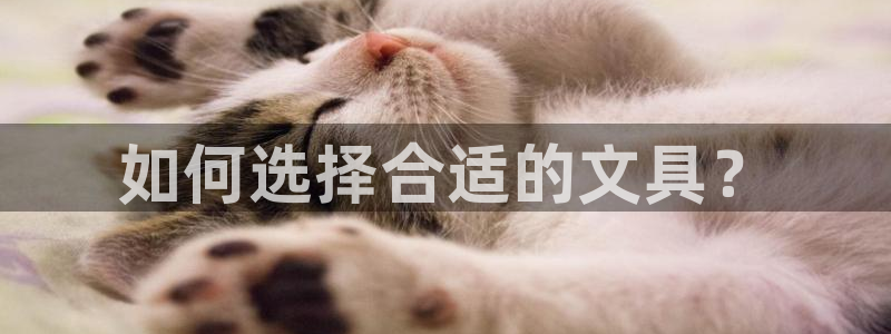 九尾园游会：如何选择合适的文具？