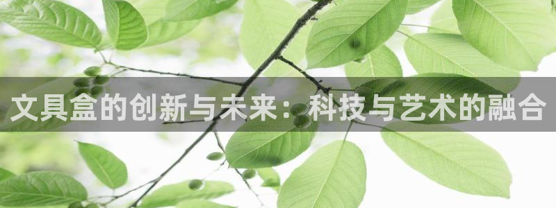 九游会俱乐部：文具盒的创新与未来：科技与