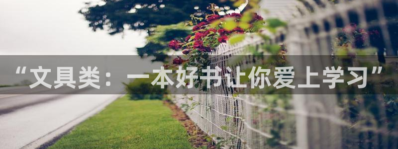 九游会百家号：“文具类：一本好书让你爱上