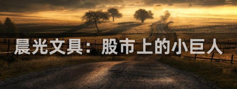 九游会老哥交流：晨光文具：股市上的小巨人